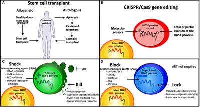 Block and Lock HIV Cure Strategies to Control the Latent Reservoir